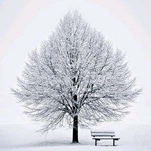 Meet your Posher, Jungmi